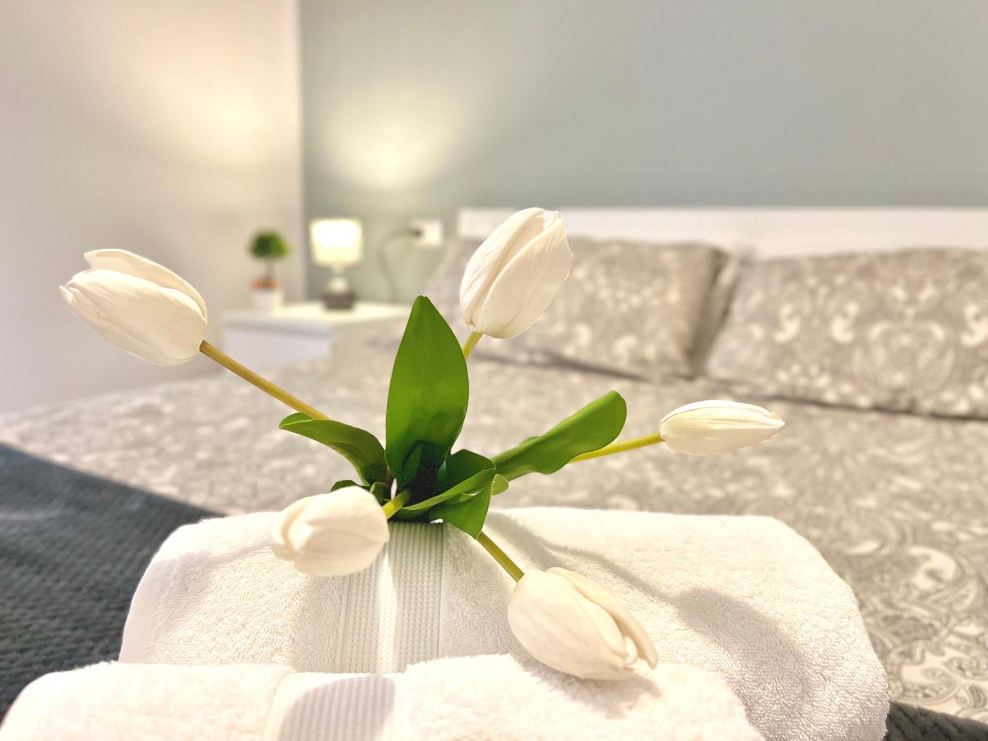 Archivio 32 Neapolitan Apartment 외부 사진